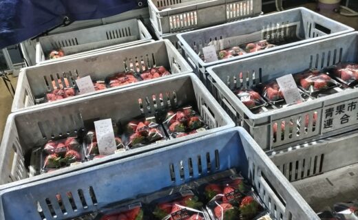 寒い一週間と、ほどほどのイチゴたち