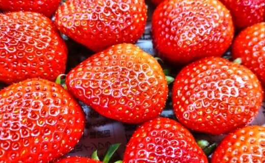 少しずつ春へ、そして最初の収穫ピークへ