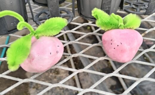 夏は「整える」季節